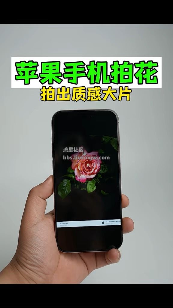 苹果手机拍花更有质感