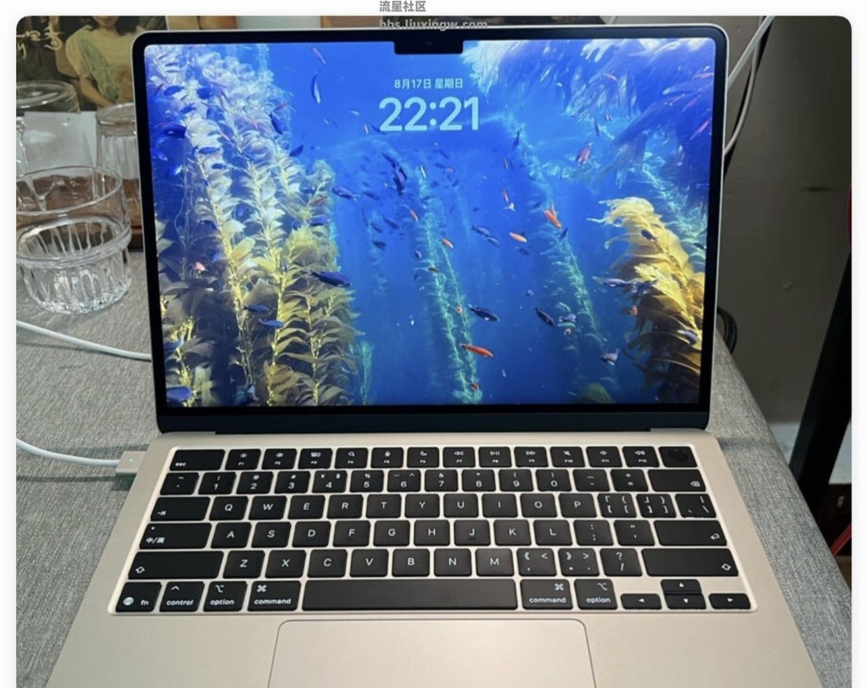 【玩机话题】生产力用，苹果Mac和iPad，选哪一款更好？