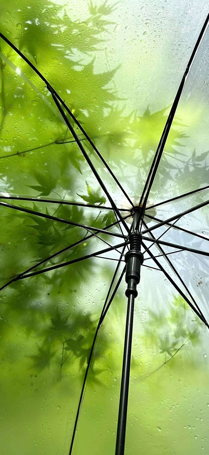 【美化素材】壁纸｜​收藏很久的超火壁纸